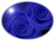 <FONT color=#44BB44> 『 图文并茂 』</FONT》