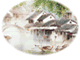 <FONT color=#44BB44>〖 花开彼岸 〗 </FONT》