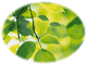 <FONT color=#44BB44>〖管理日志』</FONT》