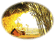 <FONT color=#44BB44> 『 小说前沿 』</FONT》